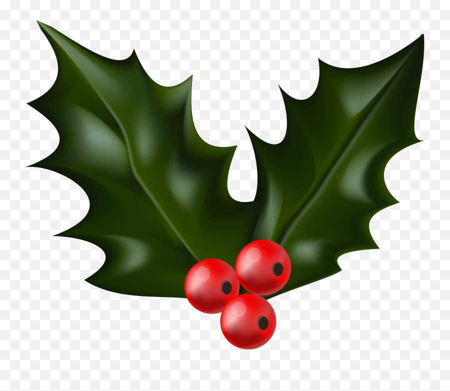 Christmas Holly Mistletoe Png - Christmas Holly Png,Christmas Holly Png