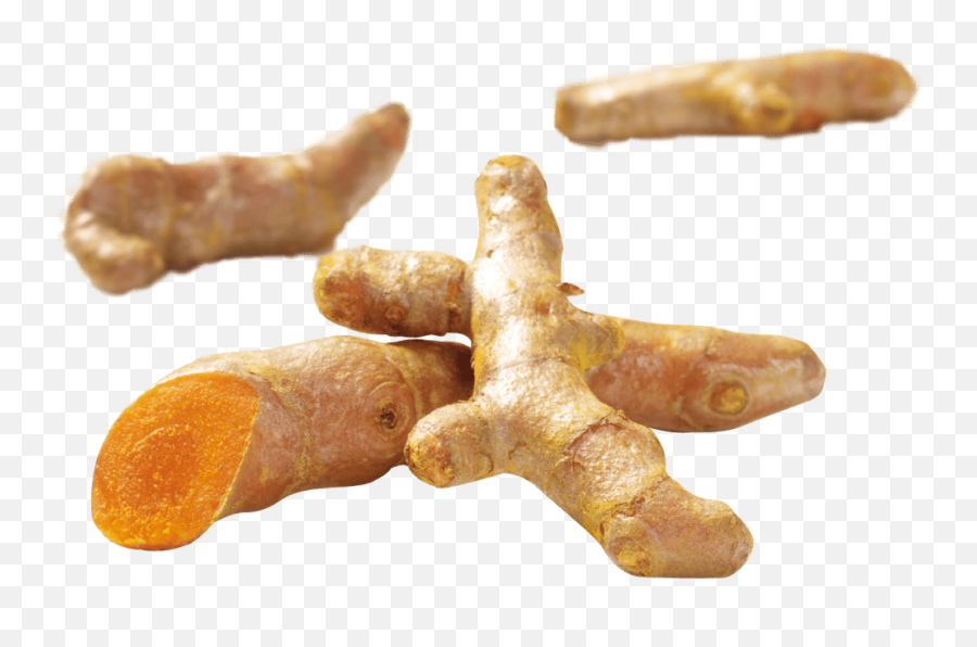 Turmeric U2014 Spice Use Plant Kotányi - Ginger Png,Turmeric Png