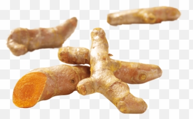 Turmeric U2014 Spice Use Plant Kotányi - Ginger Png,Turmeric Png
