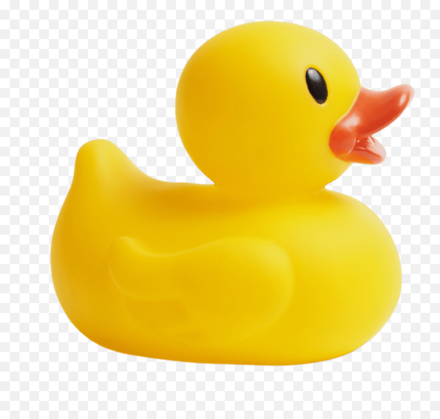 Terms U0026 Conditions - Rubber Duck Lab Duck Png,Rubber Duck Transparent B...