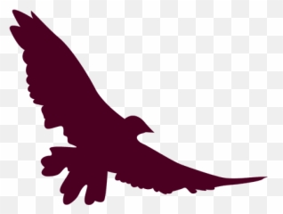Spread Wings Bird Flying - Transparent PNG u0026 SVG vector file Silhouette Png