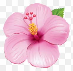 Pin - Moana Baby Png Flor,Moana Clipart Png