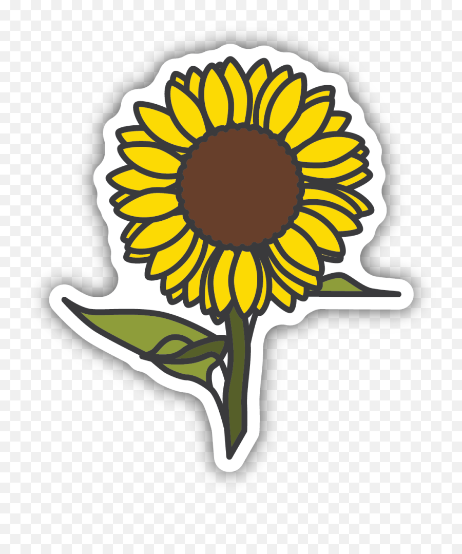 Sunflower Sticker - Transparent Sunflower Sticker Png,Sunflower Logo