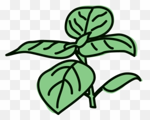 Lemon Basil Sorbet Clipart - Full Size Clipart 1992554 Basil Clipart Png,Basil Png