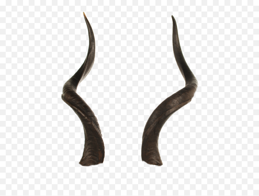 Sign Of The Horns Antler Reindeer - Transparent Background Horns Png,Horns Png