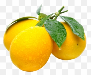 Hd Free Png Download Lemons Images - On Branch