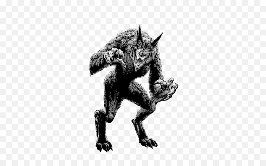 Werewolf Png - Werewolf Png,Werewolf Transparent