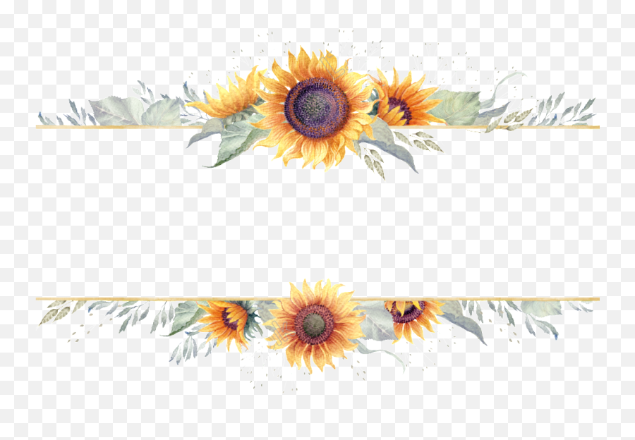 Sunflower Border Png Transparent - Transparent Sunflower Border Clipart,Sunflower Transparent Background