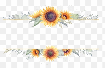 Sunflower Border Png Transparent - Clipart