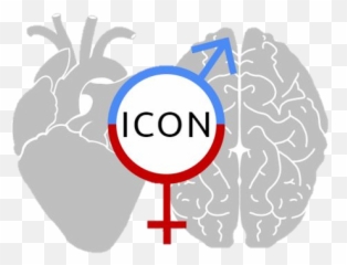 Innovation Center Sex Differences In Medicine - Illustration png