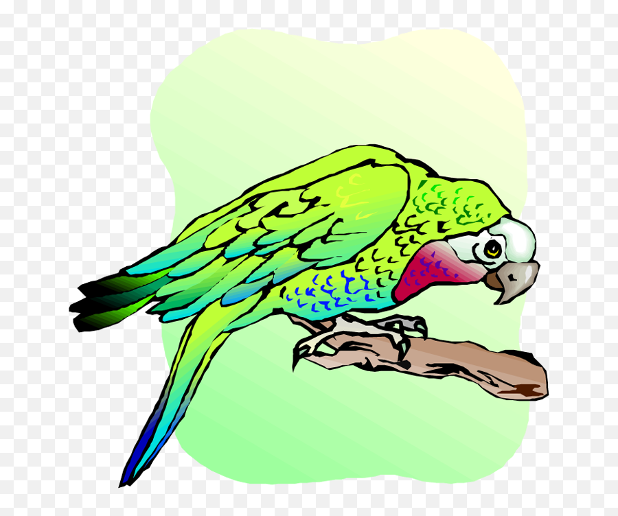 Free Parrot And Macaw Clipart - Budgie Png Download Full Clip Art,Macaw Png