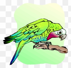Free Parrot And Macaw Clipart - Budgie Png Download Full Clip Art,Macaw Png