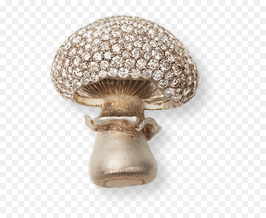 Mushrooms Hemmerle - Agaricaceae Png,Mushroom Transparent