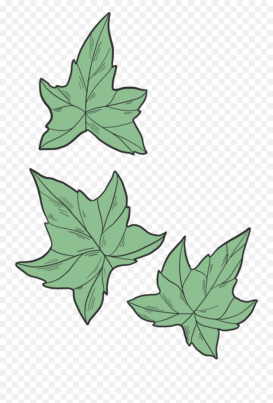 Ivy Leaves Clipart - Lovely Png,Ivy Transparent