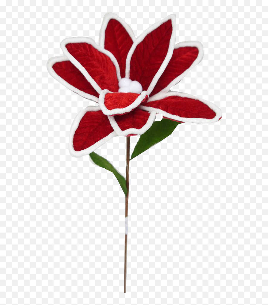 Download Felt Red Poinsettia With White Piping - Artificial Lilies Png,Poinsettia Transparent Background