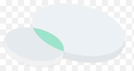 Riskified Partners - Protect Your Merchants Dot png