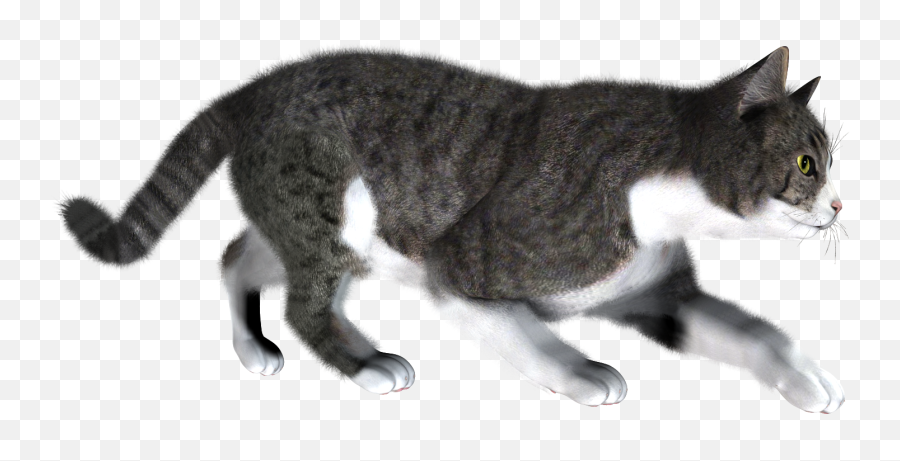 Cat Png Image Free Download Picture Kitten - Cat Walking Transparent Background,Cat With Transparent Background