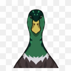 Emerald Duck Genshin Impact Wiki Fandom - Emerald Duck Genshin Impact Png,Duck Icon Png