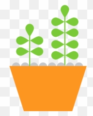 Move Over Mold Zyrtec - Vertical png