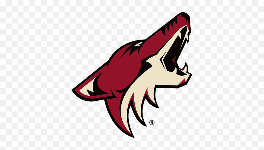 Pwhpa Professional Womenu0027s Hockey Players Association - Arizona Coyotes Logo Png,Nhl Icon