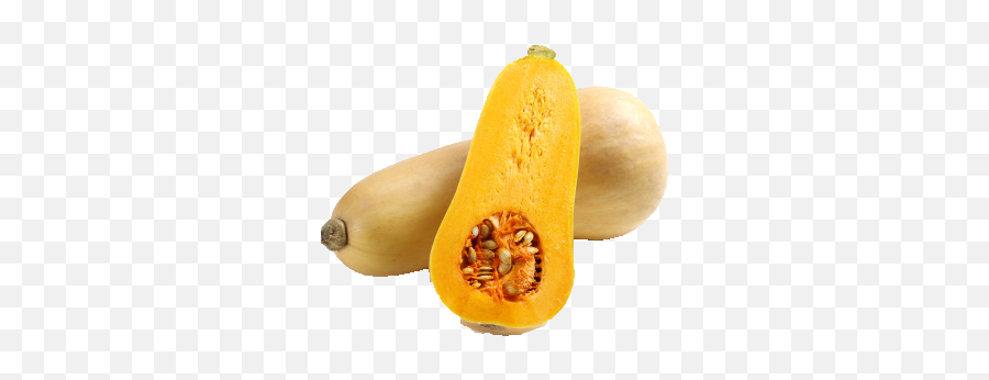 Veggiefood - Butternut Squash Png,Squash Png