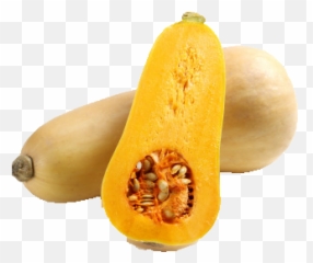 Veggiefood - Butternut Squash Png,Squash Png