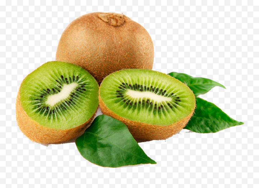 Kiwi Png Free Download - Kiwi Fruit Png,Kiwi Transparent