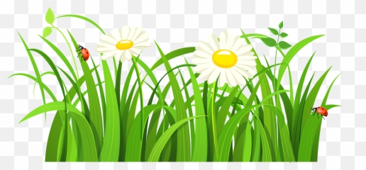 Clipart Grass Cartoon Png Transparent