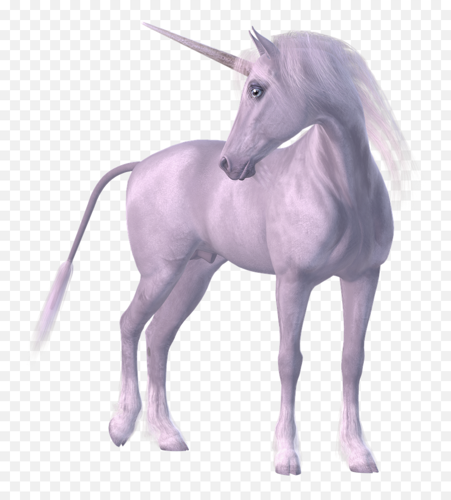 Horse Unicorn Legendary Creature - Realistic Transparent Background Unicorn Png,Unicorn Horn Png