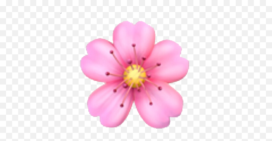 Emoji Domain Flower - Iphone Flower Emoji Png,Azalea Png