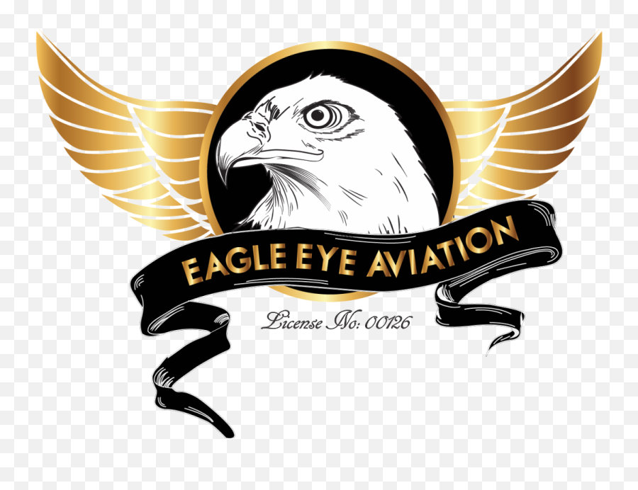 Eagles Logo Pictures Free Download - Eagle Eye Logo Png,Eagles Logo Wallpapers