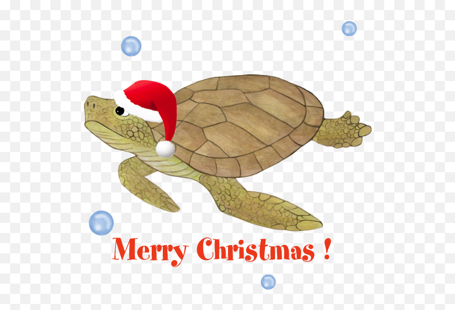 Download Favorite - Merry Christmas Sea Turtle Png Image Turtle Christmas Background,Turtle Transparent Background