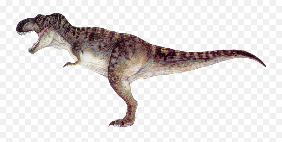 Tyrannosaurus Rex Download Png Image Arts - Jurassic Park T Rex,Tyrannosaurus Png