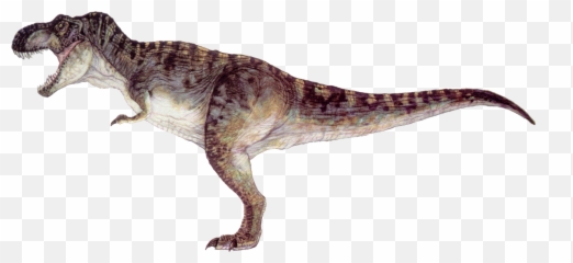 Tyrannosaurus Rex PNG - Baby Tyrannosaurus Rex, Cute Tyrannosaurus Rex. -  CleanPNG / KissPNG