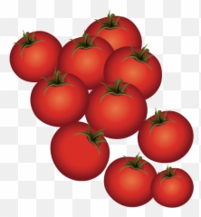 Plum Tomato Bush - Ripe tomatoes png download 612 Tomato