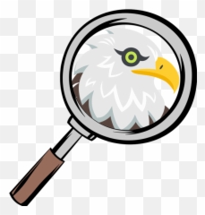 Magnifying Glass Cartoon Drawing Transparent - Jingfm Clip Art png