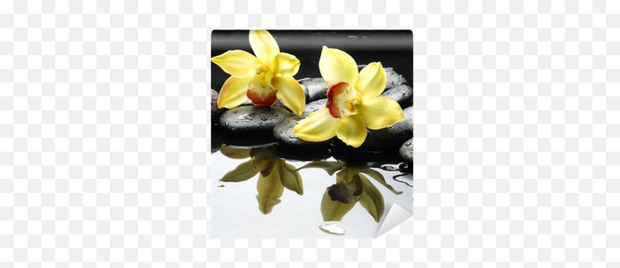 Png V59 Pictures 400x400 - Pixel Orchid On Water Orchids,Orchids Png