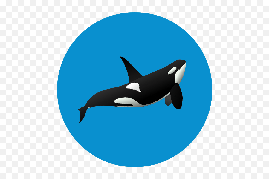 Account - First Time User Free The Ocean Killer Whale Png,Dolphin Icon