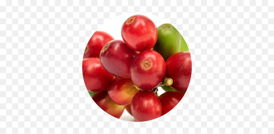 Ingredients - Superfood Png,Cranberry Icon