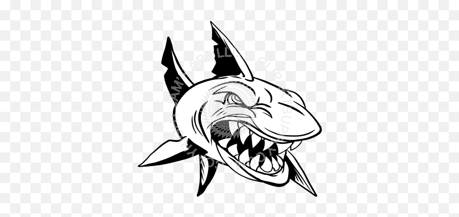 Great White Shark Cartoon Drawing Free Download - Mean Shark Clipart Png,Shark Clipart Transparent Background