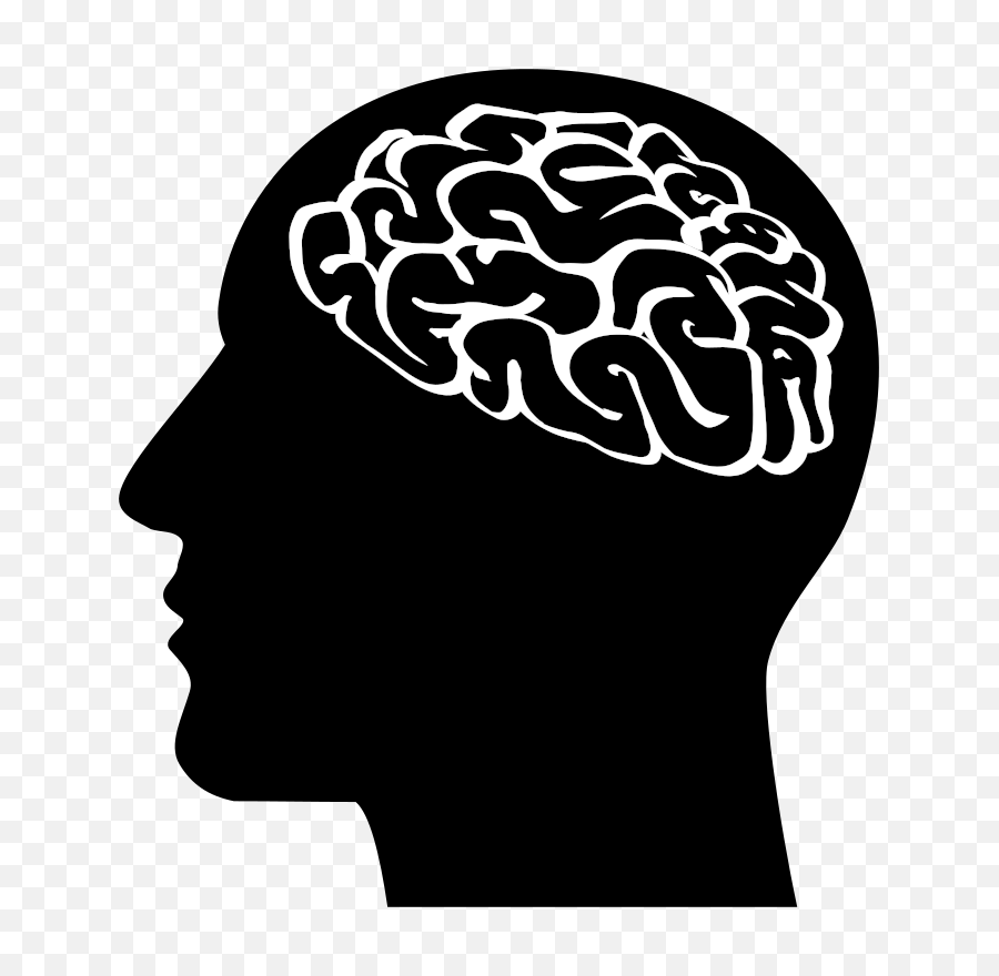 Brain Drawing Png - Human Brain Drawing Silhouette Art Brain Head Vector Png,Human Brain Png