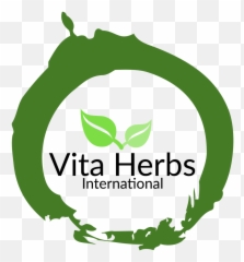 Vita Herbs International - Portable Network Graphics Png,Herbs Png