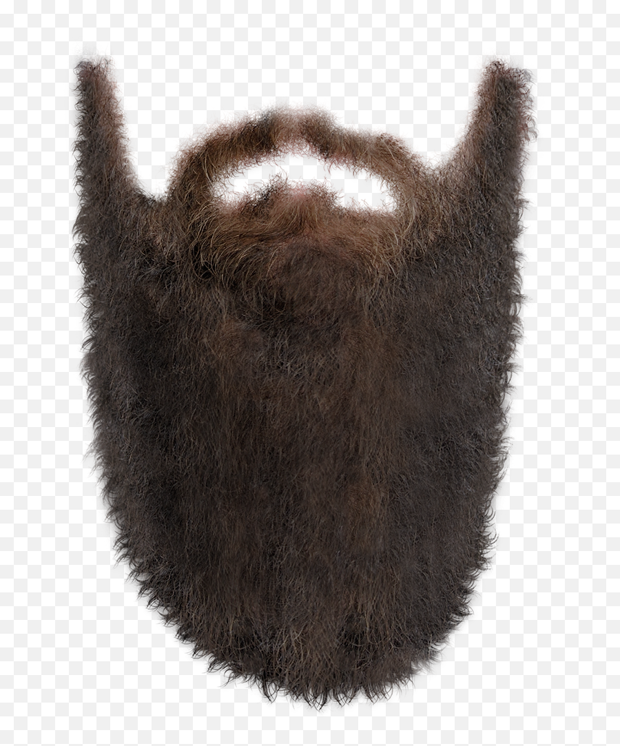 Transparent Long Beard - Long Beard Png,Beard Transparent Background