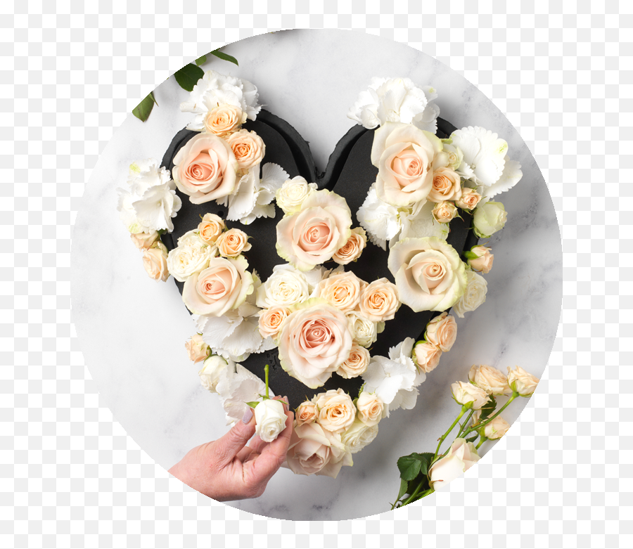 You U0026 Oasis Floral Products Are The Perfect Arrangement - Garden Roses Png,Floral Transparent