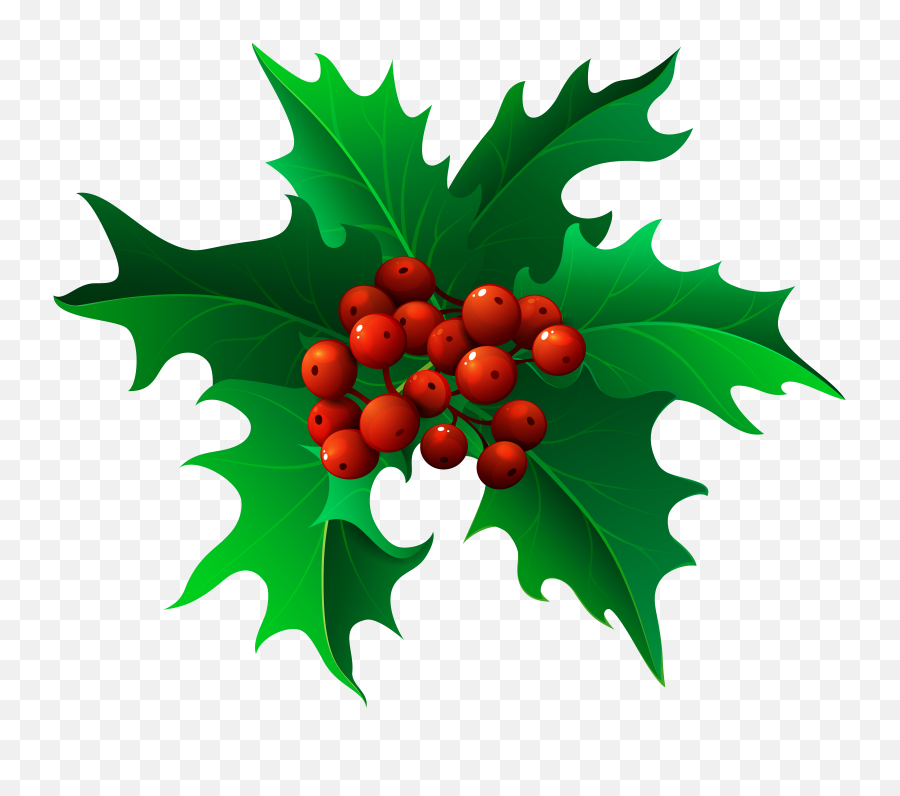 Christmas Holly Png Clip Art Gallery