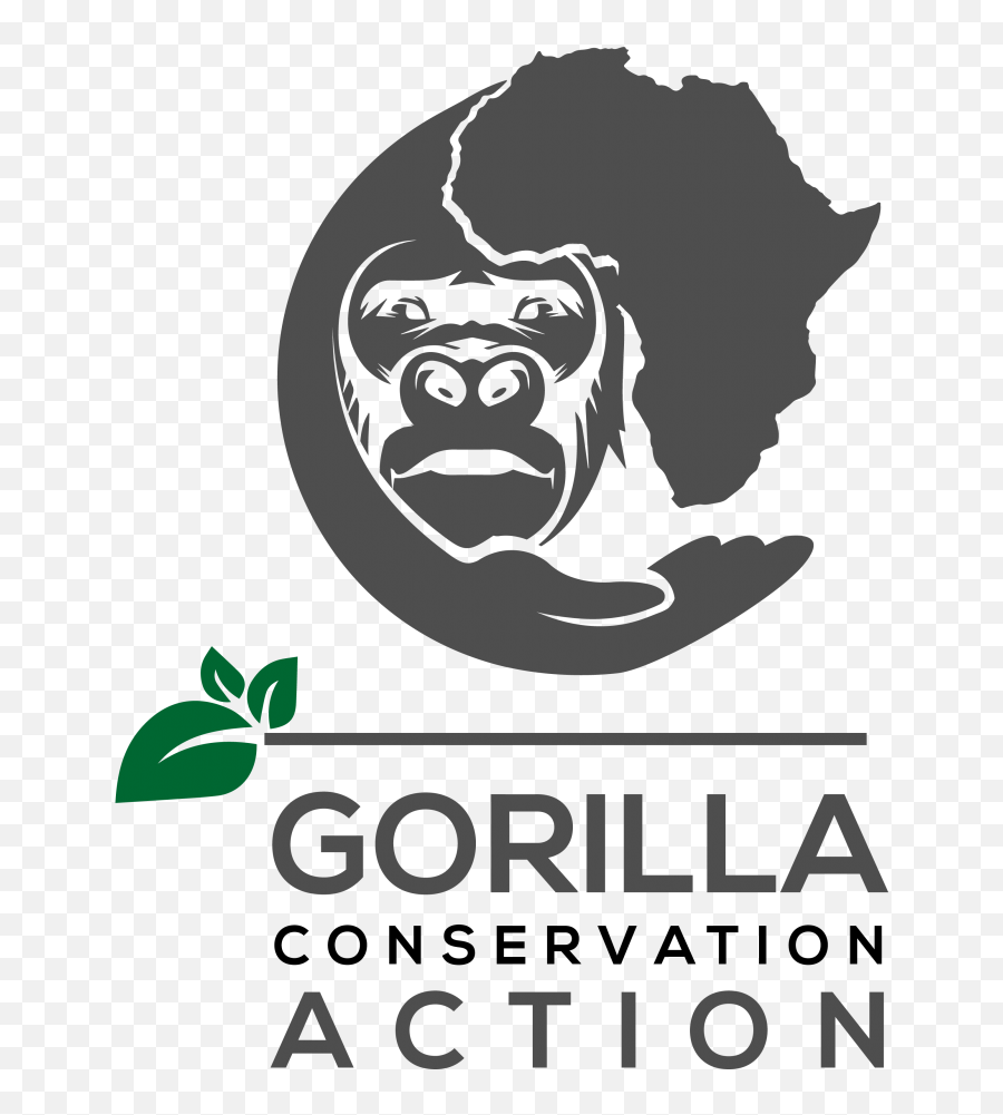 Projet Gorille Fernan - Africa Silhouette Png,Gorilla Logo