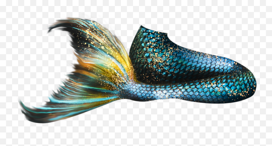 Mermaid Tail 05 Png - Mermaid Real Tail Png,Mermaid Tail Png