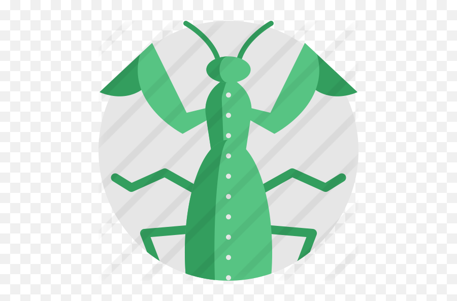 Praying Mantis - Free Animals Icons Illustration Png,Mantis Png