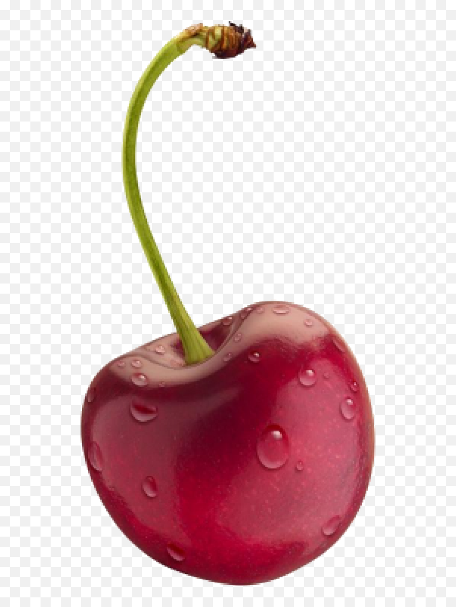 Png Images Transparent Background - Transparent Cherry Png,Cherry Png