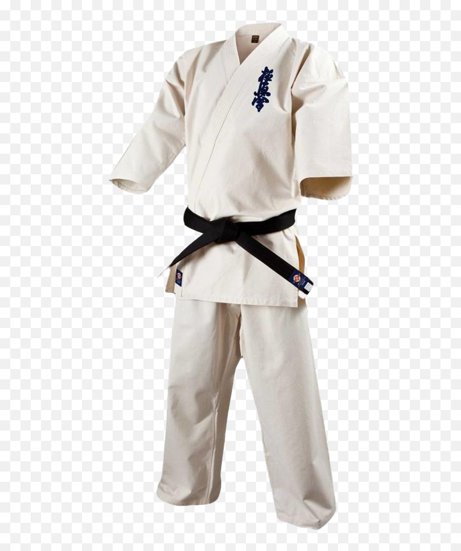 Karate Png Clipart Background Play Black Belt